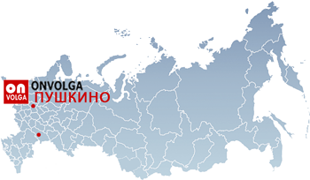 Продвижение сайтов в Пушкино