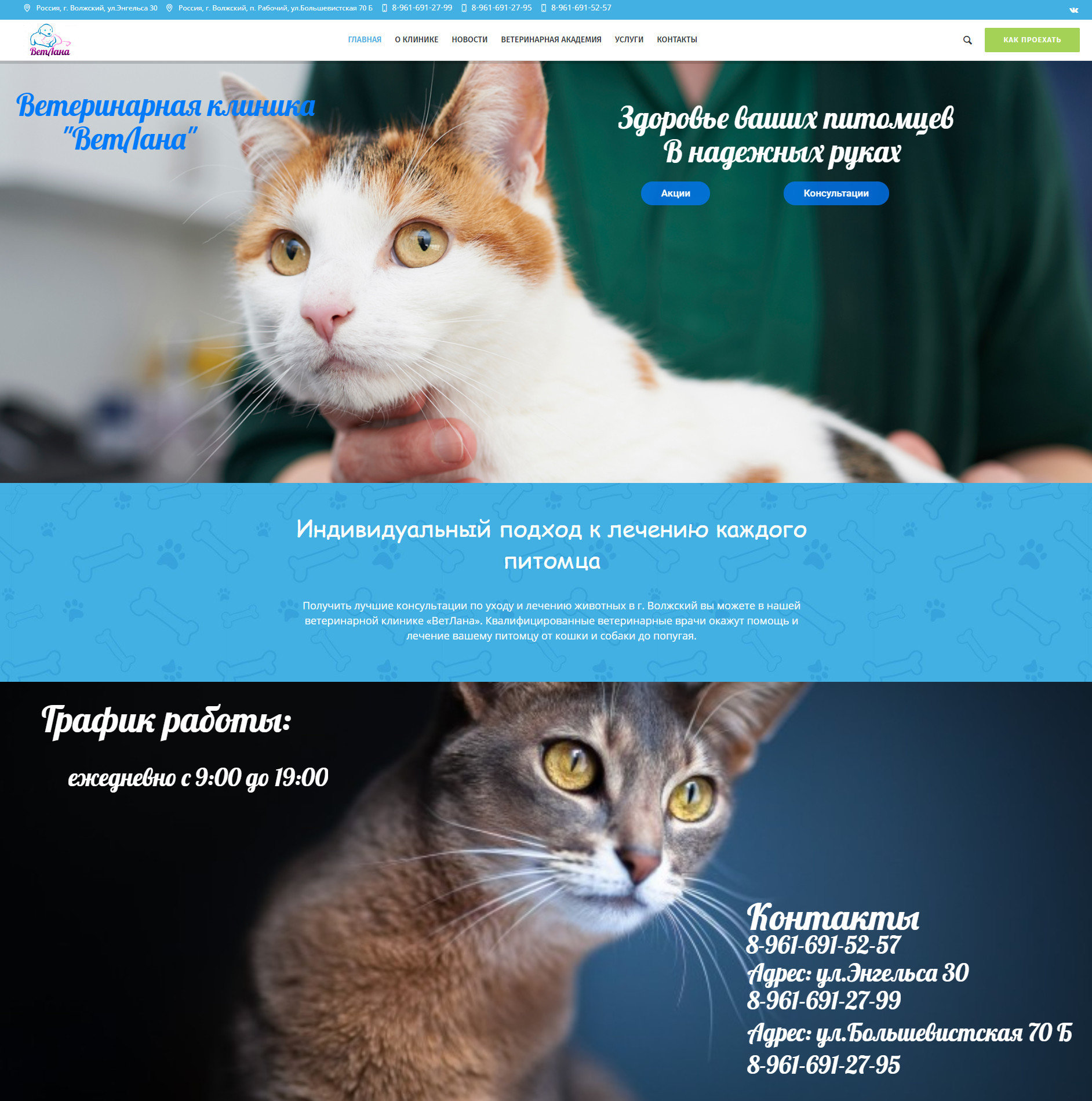 Создание сайта для ветеринарной клиники (г. Волжский)
